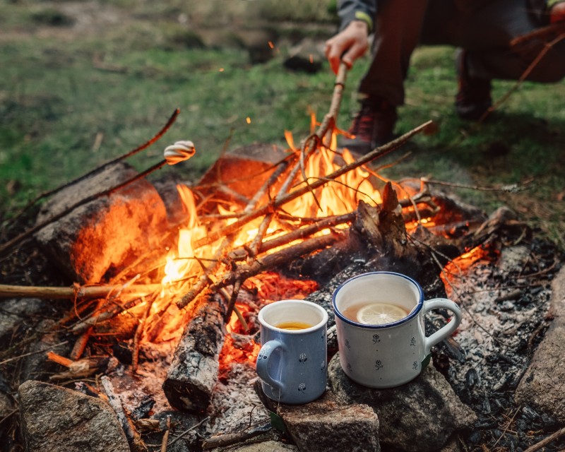 People roasting marshmallows over a roaring campfire. Two cups of tea are warming on stones next to the fire.